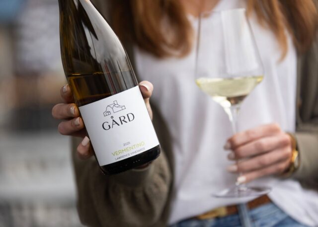 No passport required for this taste of Italy - the 2025 Vermentino shines in the glass. Let this bright Italian variety transport you somewhere coastal!☀️🐚🥂