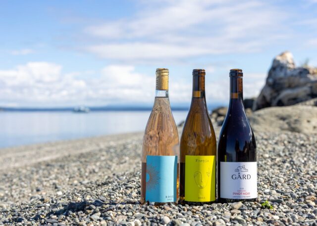 It's Summer Solstice Release day! Stop in to taste the 2025 vintages of Freyja and Rosé, PLUS the debut of our Carbonic Pinot Noir— a fresh, fruit‑forward red that is perfect with a gentle chill on warm summer days.

Head to the blog (link in bio) for wine details and a deeper look at Midsummer traditions and what the solstice means in the vineyard.