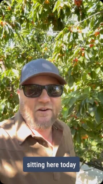 🍒 Josh’s favorite time of year is here!