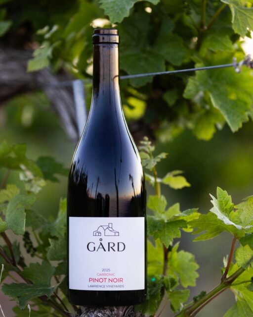 Psst… our 2025 Carbonic Pinot Noir is almost sold out, and once it's gone, it's gone.
Our debut vintage has been the wine of the summer: bright, juicy, made for a chill, and impossibly easy to drink. If it's been on your list, or you fell for it earlier this season, now's the time to grab a few bottles before the last ones disappear!