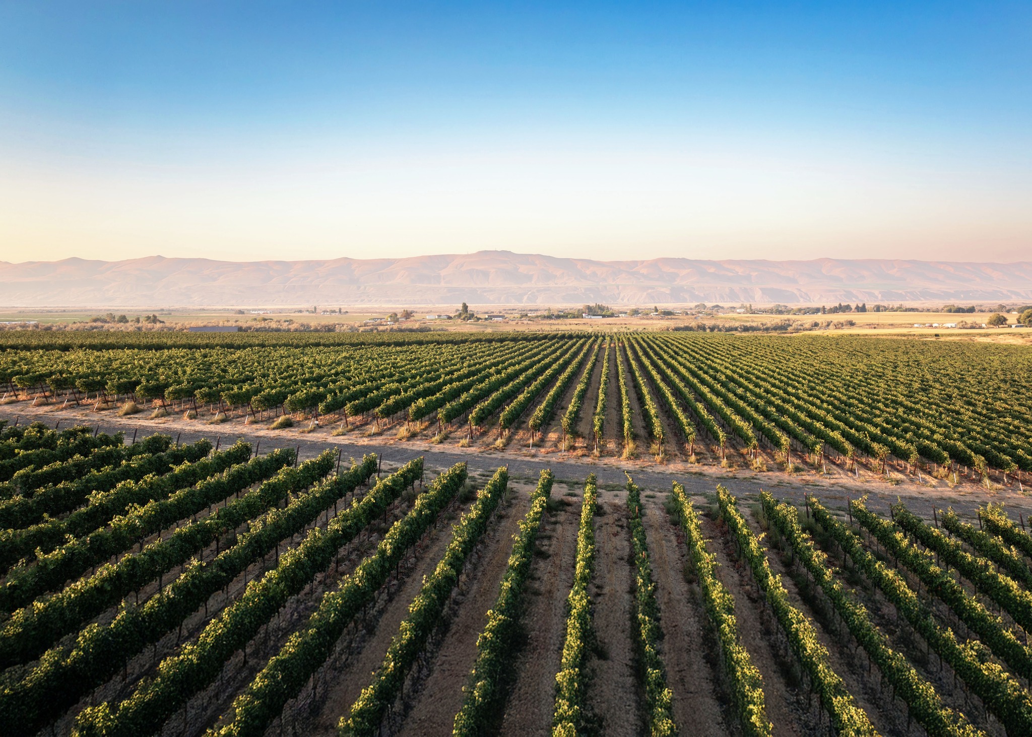 Today, we raise a glass to the land that sustains us. First celebrated in 1970, Earth Day has always been a call to care for the places we depend on — a value that runs deep for us. At Gård, we’re farmers first, and caring for the land isn’t just our livelihood. It is, and always has been, the heart of everything we do.

Our estate vineyards are Sustainable WA Certified, recognizing intentional farming that protects soil health, conserves resources, and supports the farmworkers who make this place thrive. It’s a commitment we honor season after season.

Here’s to this beautiful planet — and to the stewards who nurture it every day. Skål!
