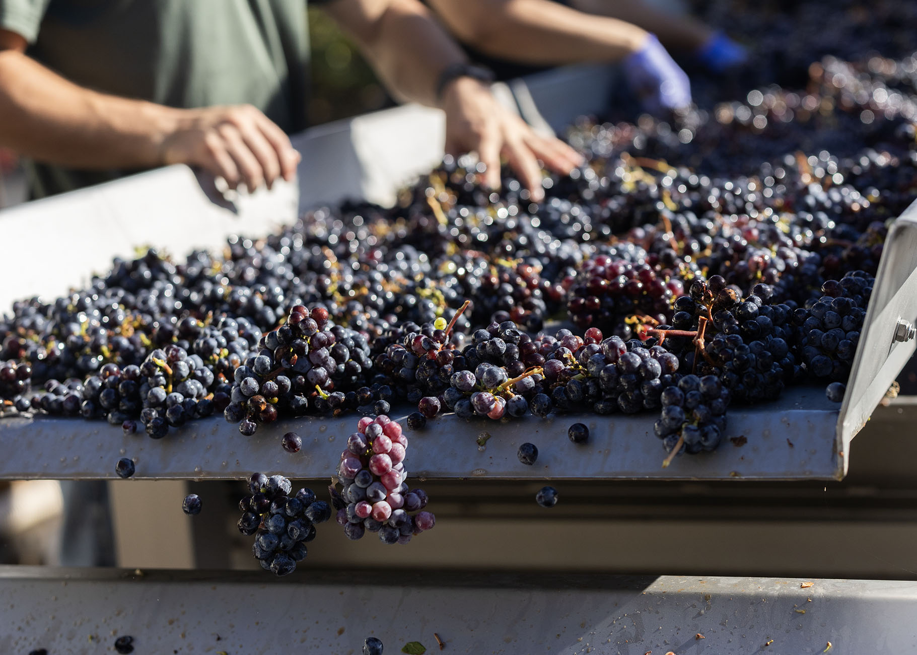 Gård_Production_Oct 2023 (38)